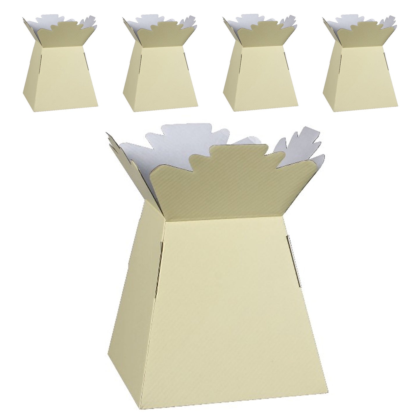 Flower Bouquet Boxes – Pack of 5