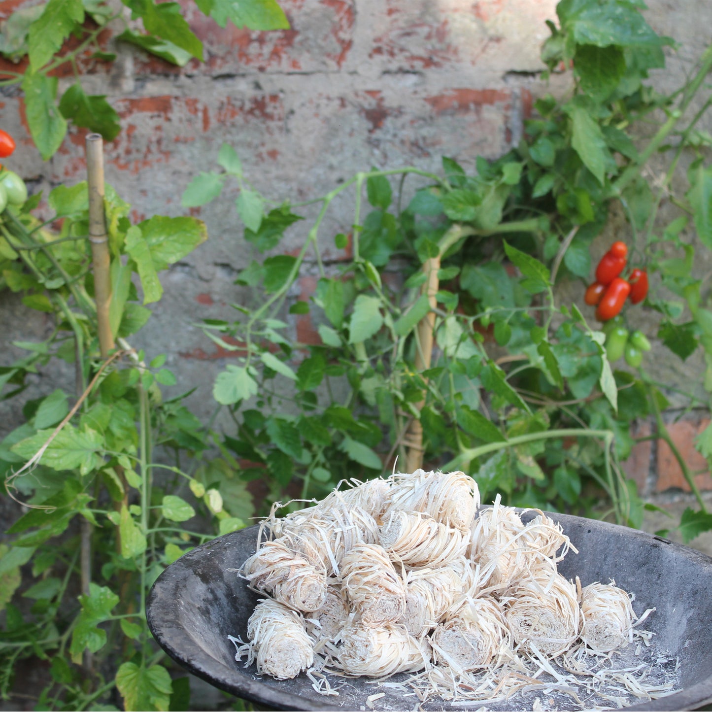 Natural Wood Wool Firelighters - Available in Bag of 20 and Box of 200