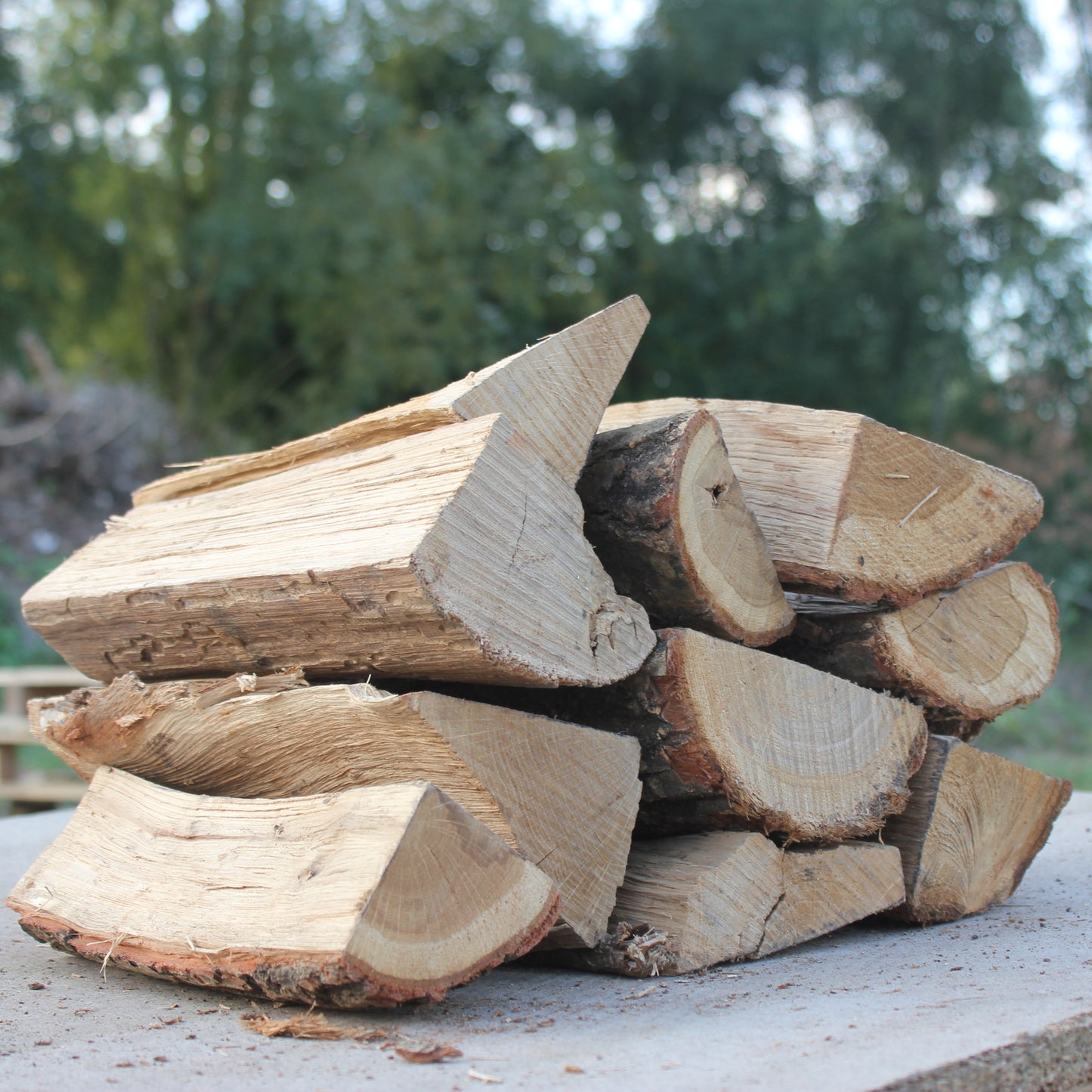 Wood Kiln Dried Firewood Fire Logs – 10kg Box