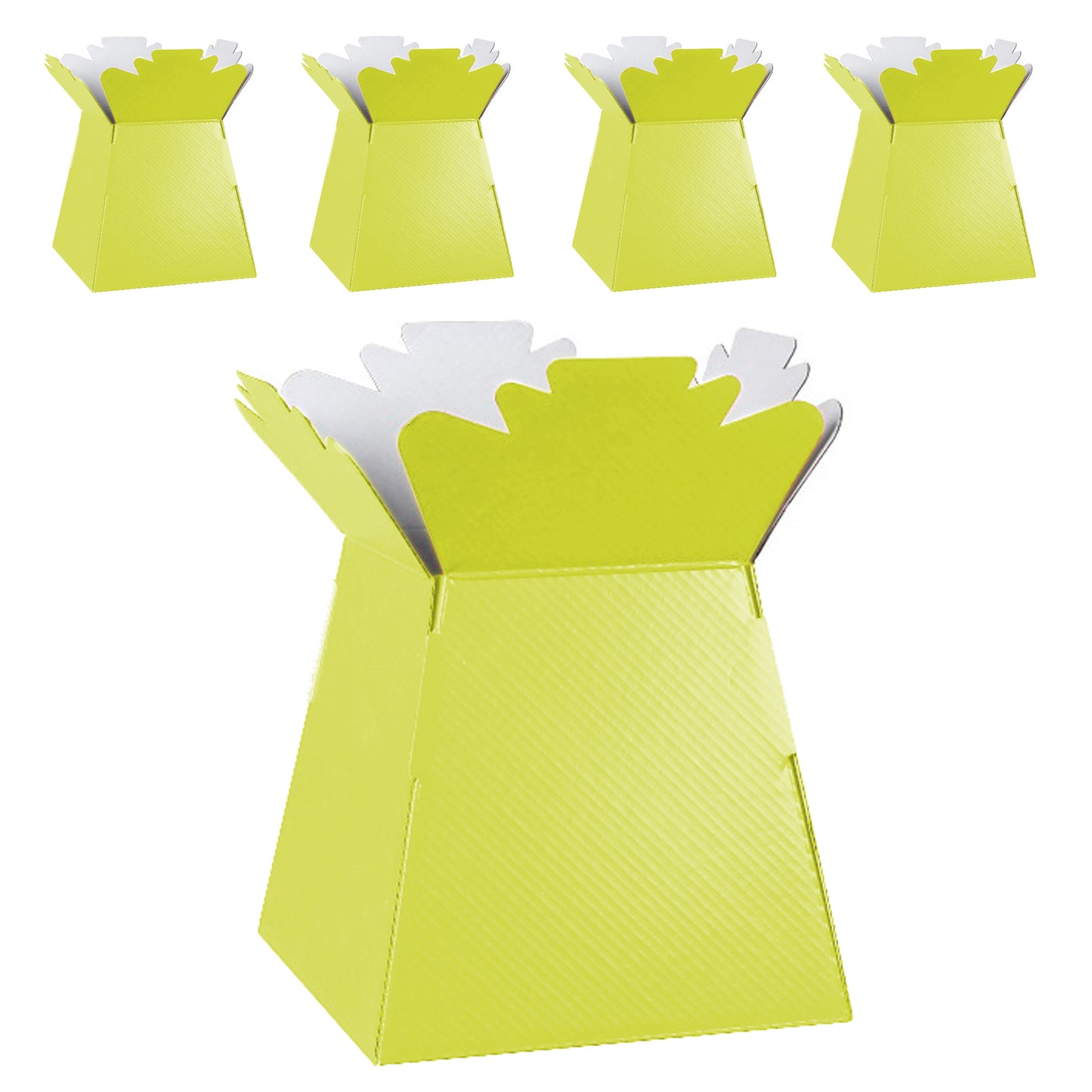 Flower Bouquet Boxes – Pack of 5