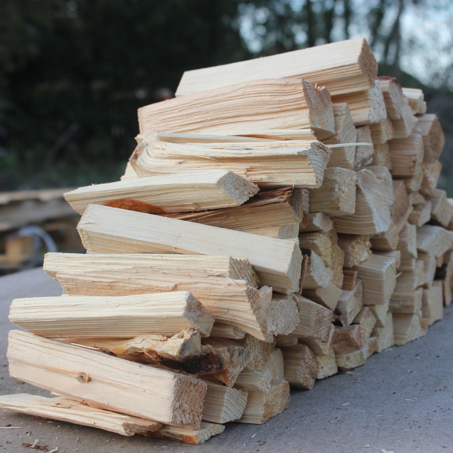 Kiln Dried Kindling Wood Sticks – Premium Natural Firewood – 2.75kg Box