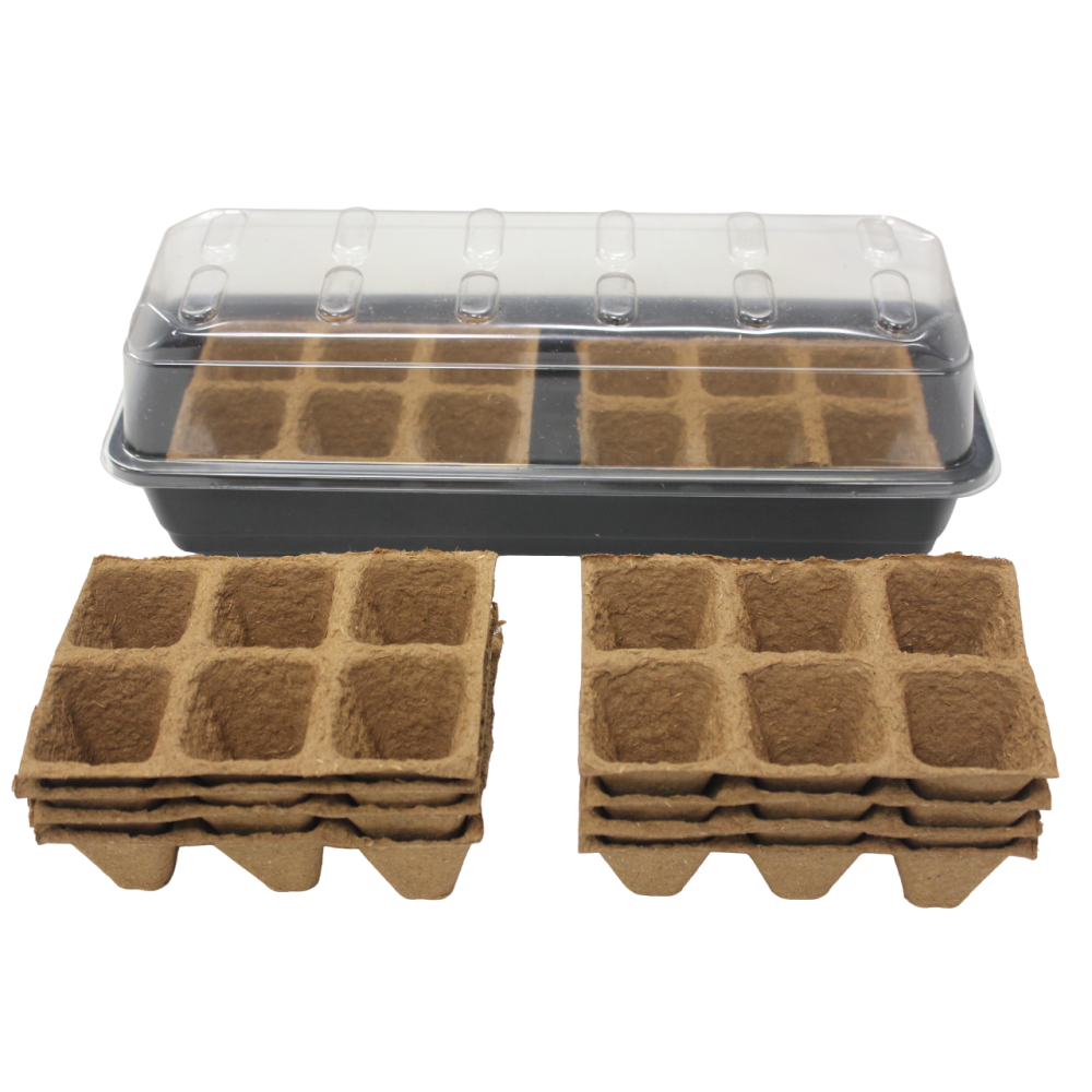 Windowsill Propagator Kit (15x37cm) with 10x 6-cell Biodegrable Fibre Strips