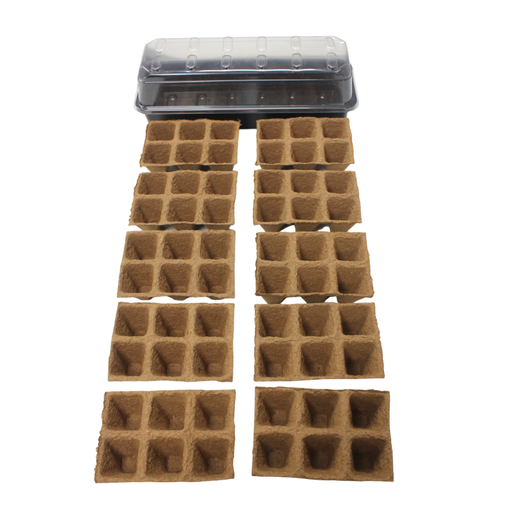 Windowsill Propagator Kit (15x37cm) with 10x 6-cell Biodegrable Fibre Strips